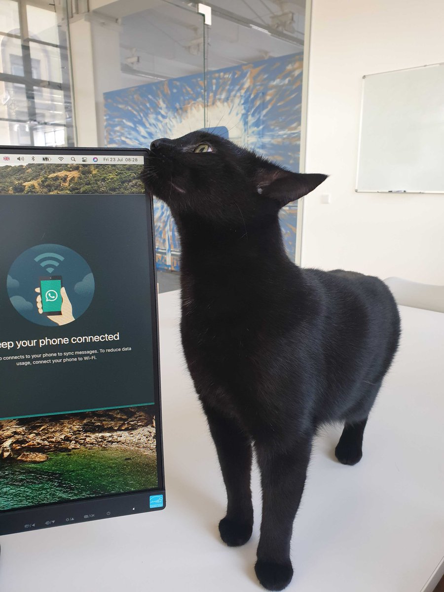 flexn_io's tweet photo. British scientists say that having pets at work can reduce stress and lead to better overall job satisfaction. So, next time you see our employees at their desk with their pet, know that they are both having a great day!
#flexn #flexnpets #employeepets #petfriendly #workplace https://t.co/hTiBEkwE3R