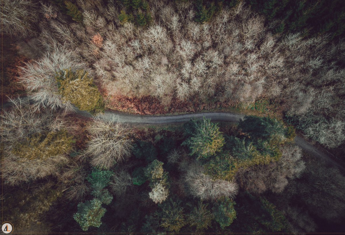 𝙇𝙤𝙪𝙜𝙝 𝙈𝙪𝙘𝙠𝙣𝙤 | 𝘾𝙖𝙨𝙩𝙡𝙚𝙗𝙡𝙖𝙮𝙣𝙚𝙮

#LoughMuckno #Castleblayney #CountyMonaghan #IrishPhotography #KeepDiscovering #Ireland #MyMonaghan ☘️

🔗:  ajlmedia.ie

<a href="/MonaghanTourism/">MonaghanTourism</a> | <a href="/DiscoverIreland/">Discover Ireland</a> | <a href="/Failte_Ireland/">Fáilte Ireland</a> | <a href="/ancienteastIRL/">Ireland's Ancient East</a> | <a href="/IrishCentral/">IrishCentral</a>