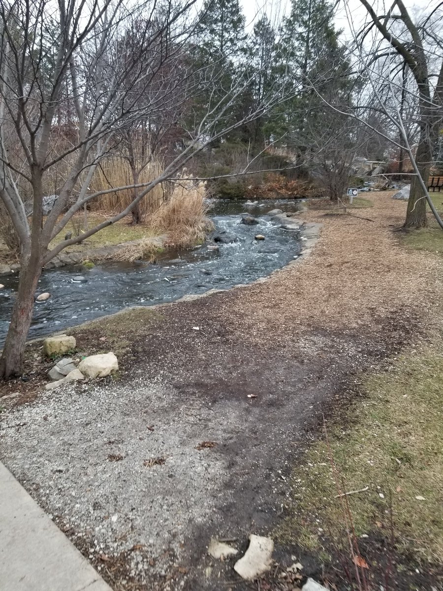 TUrbanski81's tweet photo. I was early for my doctor's appointment the other day and decided to go on a 25 minute walk. It was a little cold, but I caught some lovely scenery #GetThoseSteps https://t.co/yyaKjrArLs