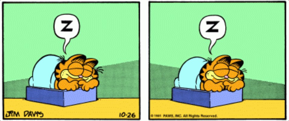 Garfield_No_2nd's tweet photo. https://t.co/Af0SNz8ofc