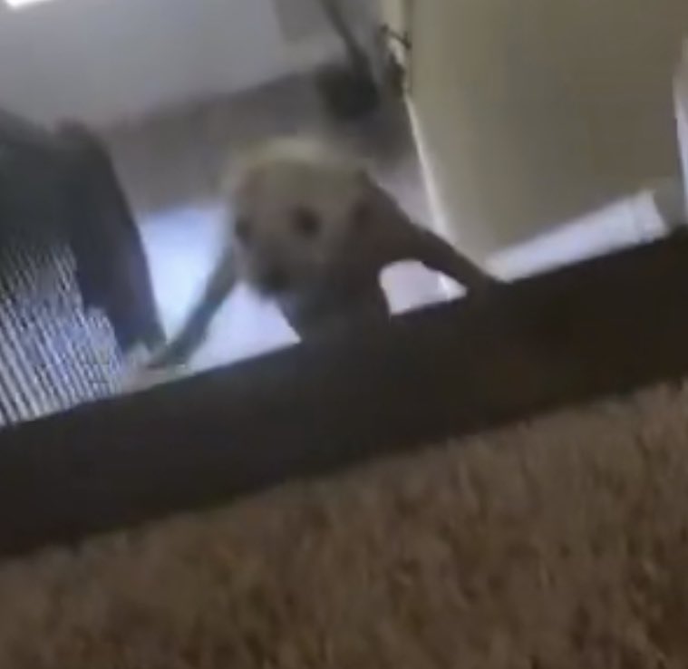 mikey (@mkeyblk) on Twitter photo 