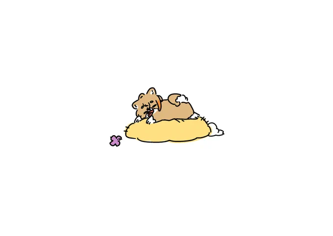 ぱぴー 