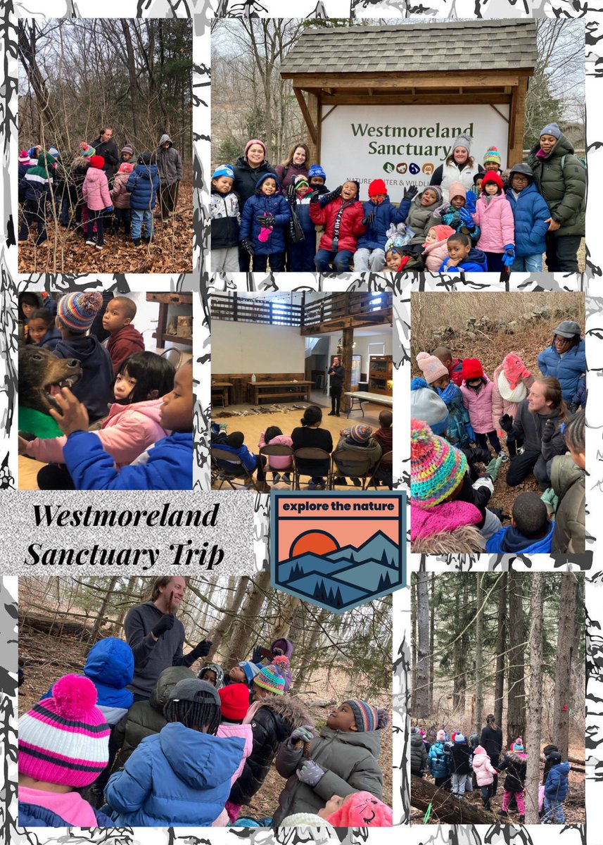 PS 197M Harlem tweet media