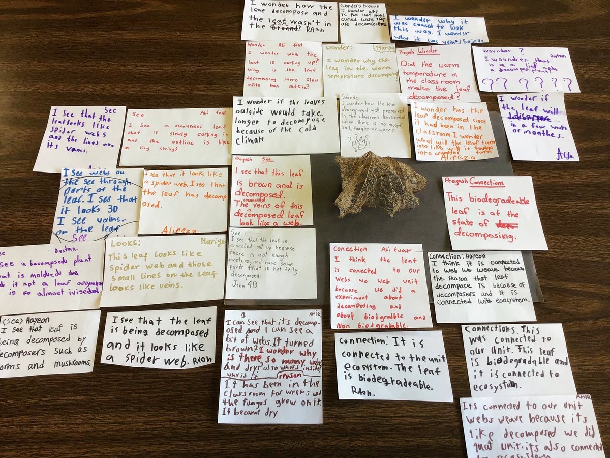 RandaB19's tweet photo. What happens when leaves decompose? We saw... We wondered... We connected... #visiblethinking @IICS1911 https://t.co/6RkpgFBHCb