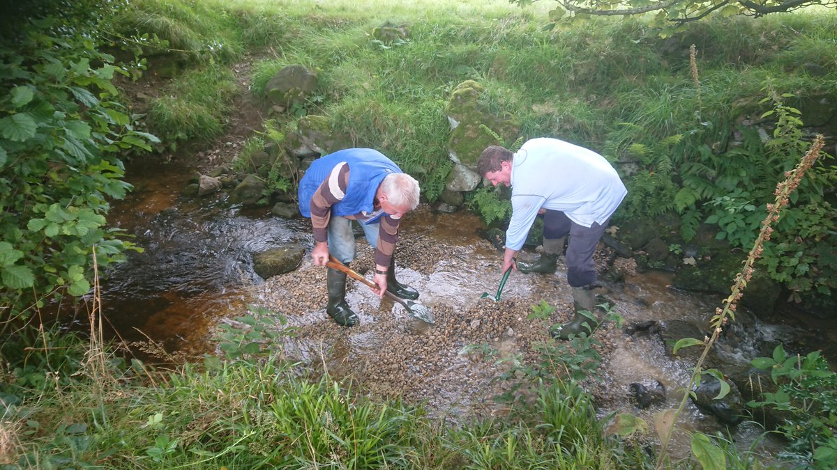 SandTCUKYorks's tweet image. Applications are open for #Fishery Improvement Prog (rod licence money via @EnvAgencyYNE). If your #angling club aims to improve salmonid habitat/#fishpassage, or educate re salmonid #conservation then we may be able to help with match funds. Reply here or facebook.com/SandTAssoc.Wes…