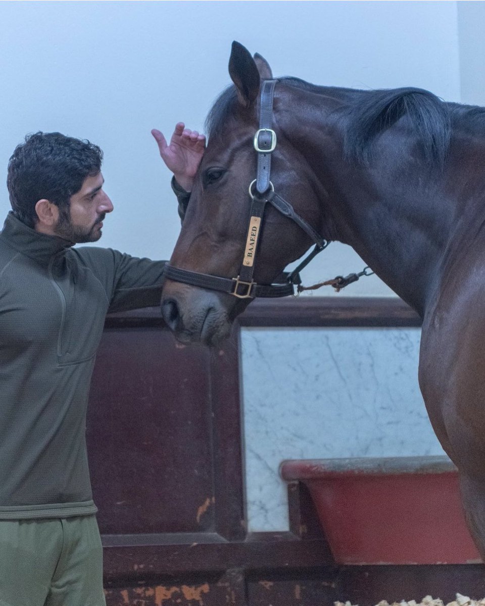 Sheikh Hamdan With the champion baaeed 💙🐎