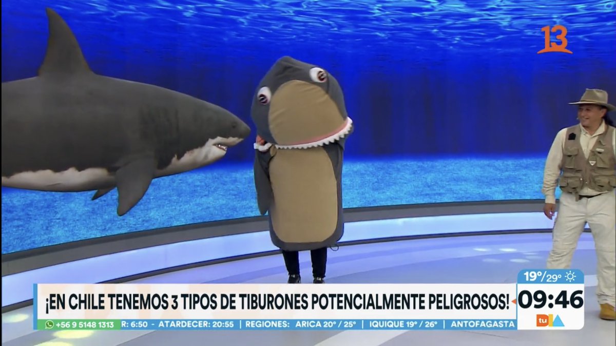 Televisivamente's tweet photo. ⚠️ ALERTA DE CORPÓREO ⚠️ https://t.co/Uw2yEKRjKE