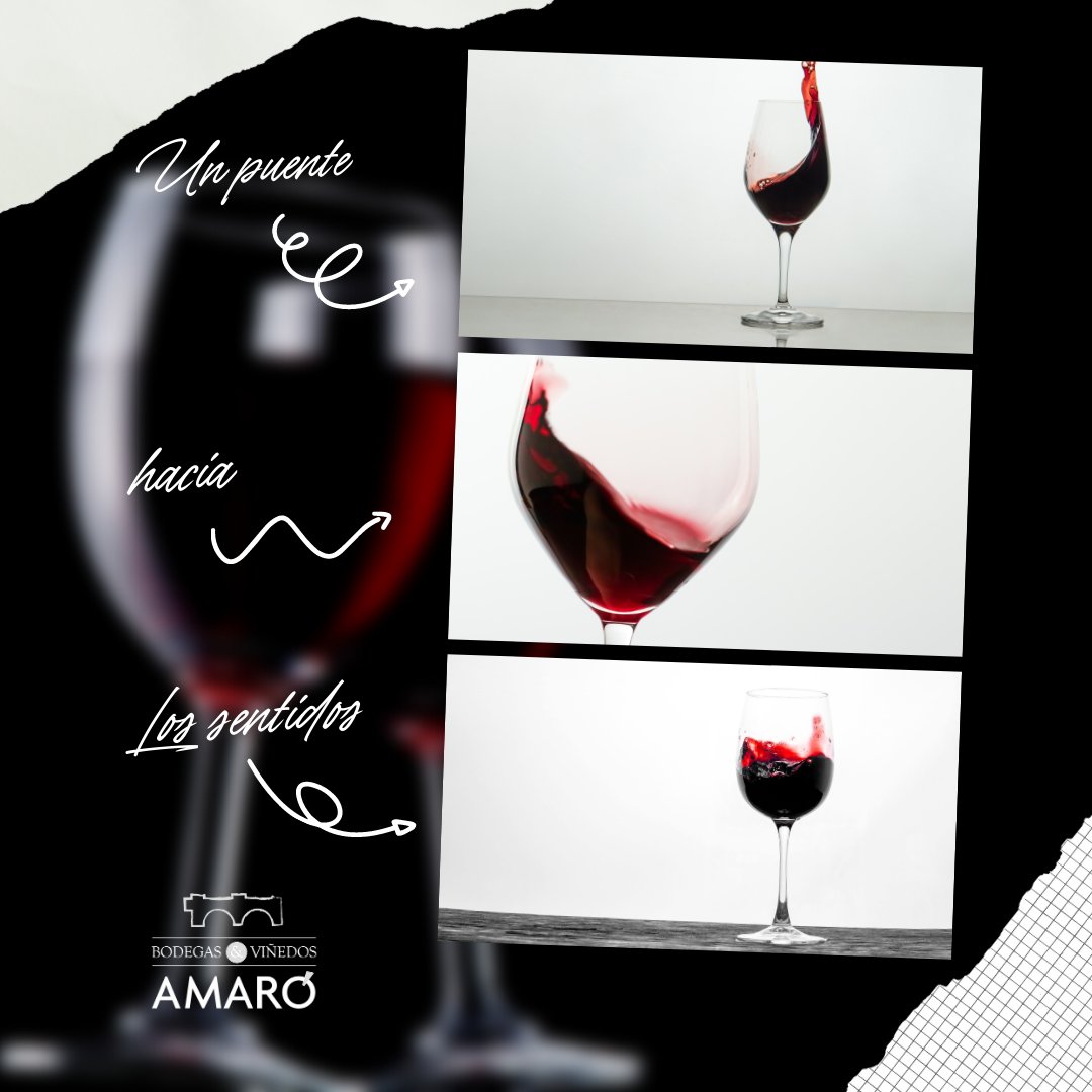 AmaroBodegas's tweet photo. Amaró - 𝑼𝒏 𝒑𝒖𝒆𝒏𝒕𝒆 𝒉𝒂𝒄𝒊𝒂 𝒍𝒐𝒔 𝒔𝒆𝒏𝒕𝒊𝒅𝒐𝒔 https://t.co/MNqCRkaFVq