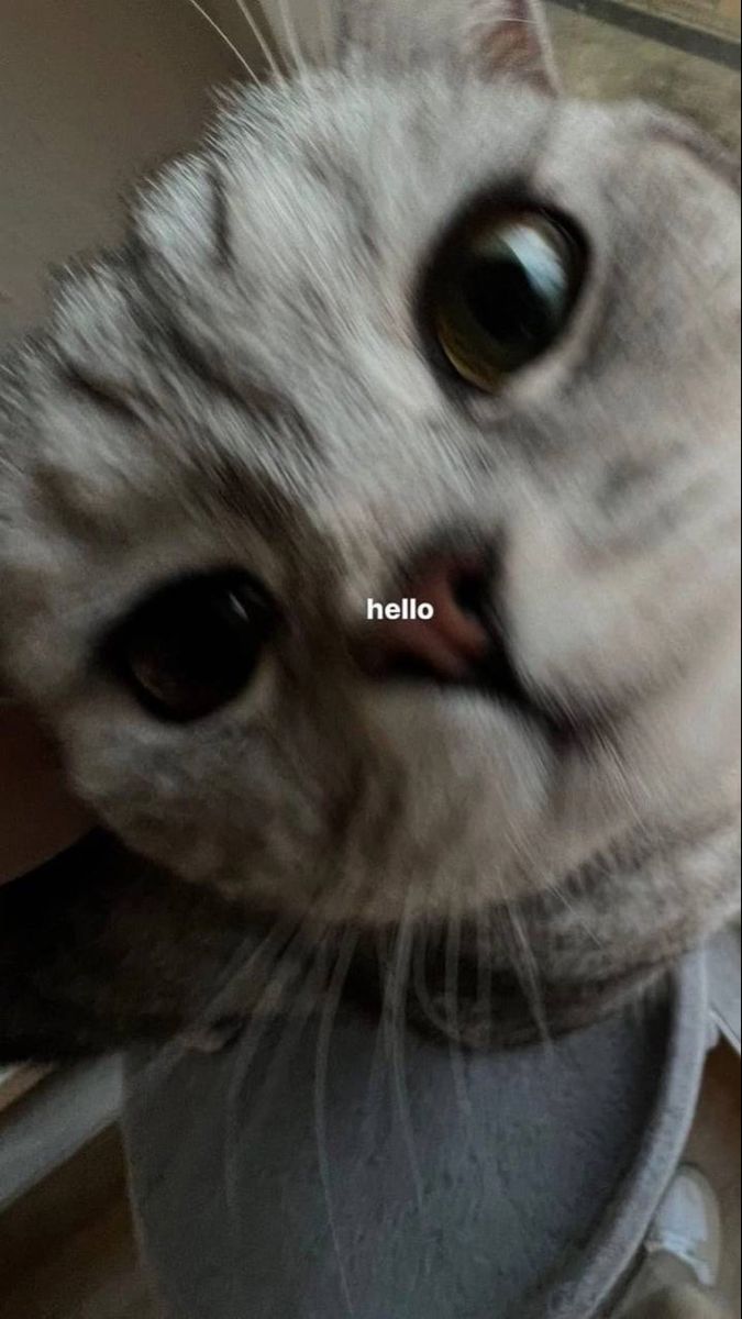 M A R I A tweet media