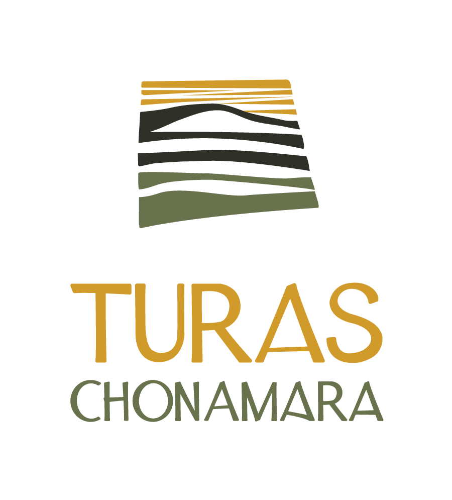 Ciotog_'s tweet photo. Beidh Ríonach Ní Néill ag tabhairt léargas ar an dtogra mapála Turas Chonamara ag Cumann Béaloidis Chonamara anocht, 8pm, Acadamh na hOllscolaíochta Gaeilge ar an gCeathrú Rua.
@ancrompan @COMHMHICDARA @UdarasnaG @DeptCulturelRL @galway2020 @PublicArtGalway https://t.co/zylzt835NL