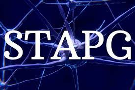 STAPG Annual Conference 9 November 2023 tweet media