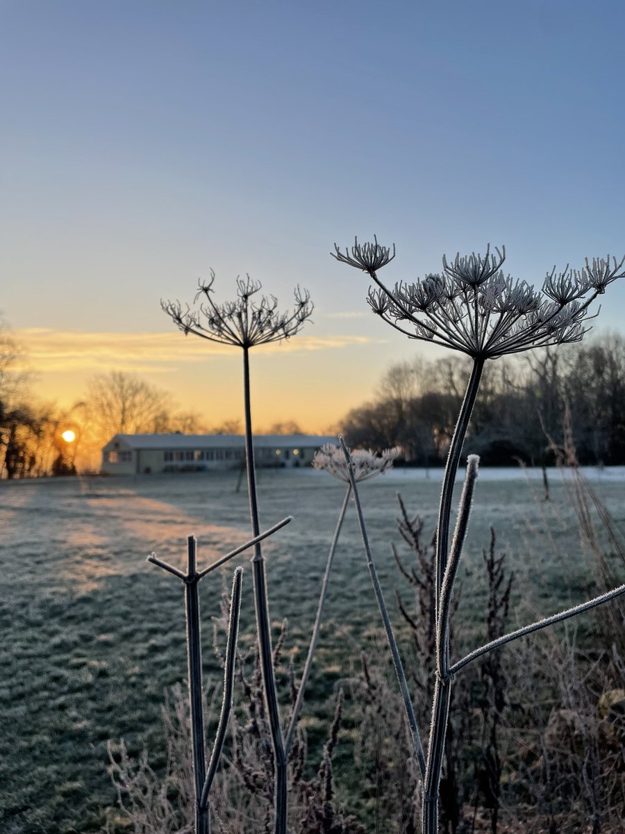 SimoneMordue's tweet photo. Frosty conditions over the last few days for an outdoor first aid and rescue course but at least we learned how fast the body cools lying  on cold ground 🥶 https://t.co/GxDDy8iCax