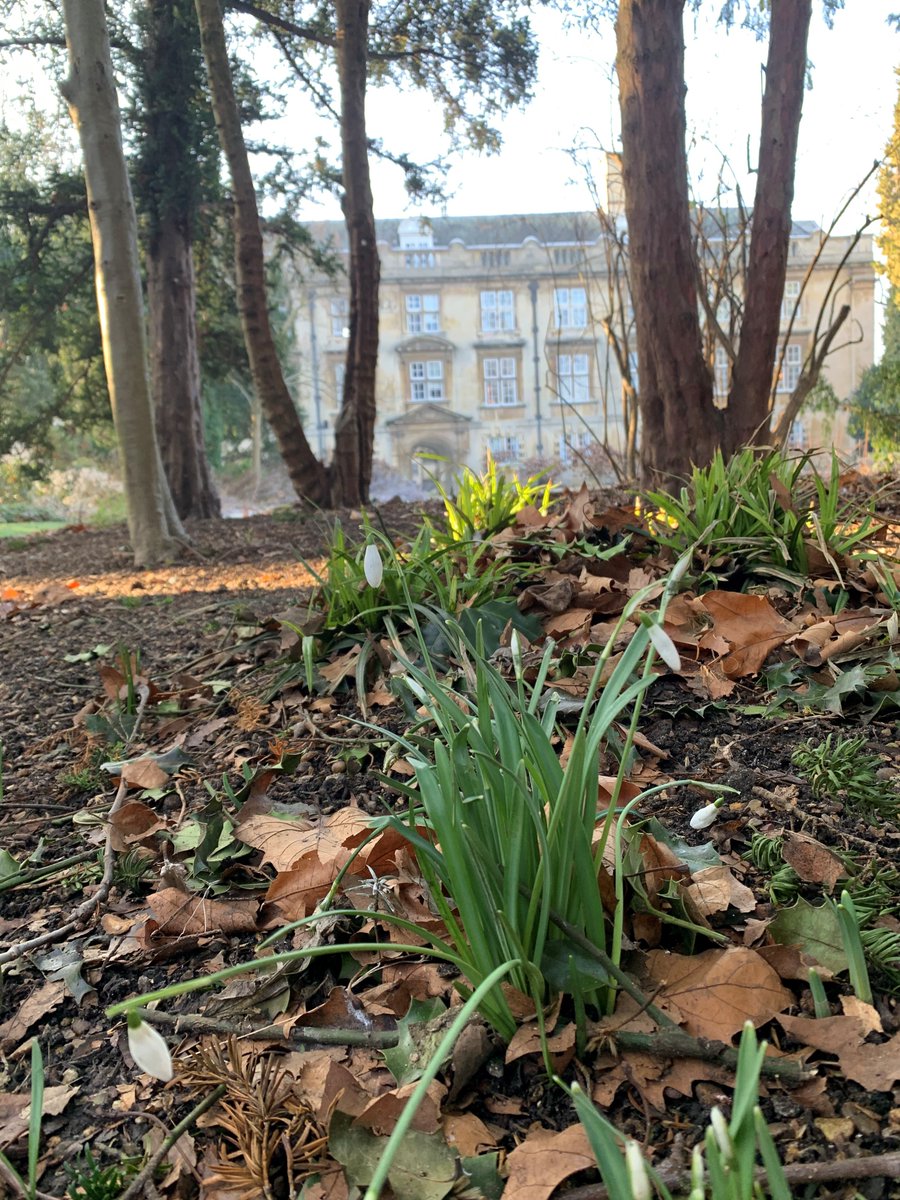 We've almost made it to the end of January, supposedly the longest month! 

Snowdrops have been spotted in the garden and Spring is on it's way.

 #beautifulgardens #collegegardens #staycationuk