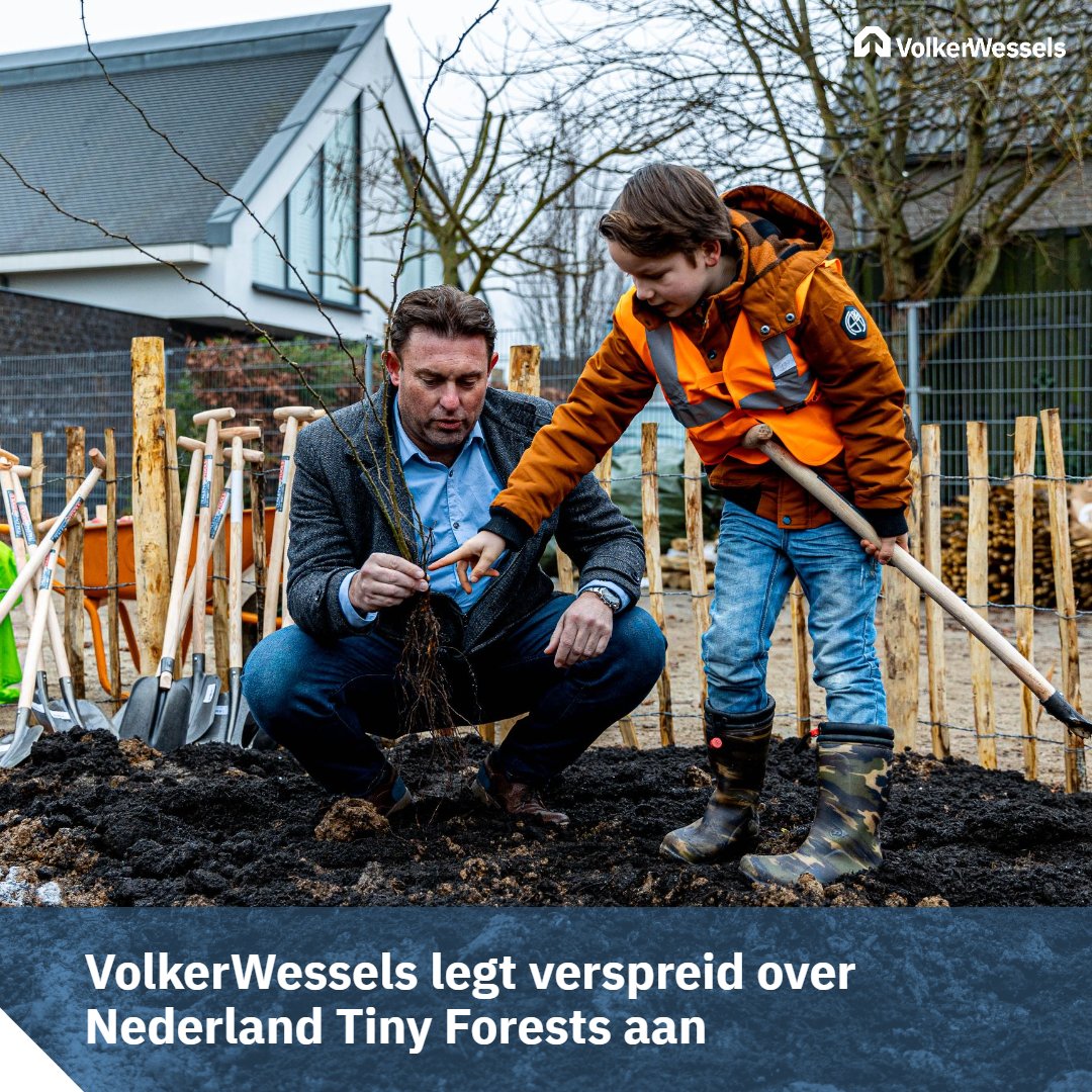 Vandaag hebben we in Stein (Limburg) ons eerste #TinyForest aangeplant! 🌱De komende tijd volgen nog veel meer locaties. Lees het pb op volkerwessels.com/nl/nieuws/volk…