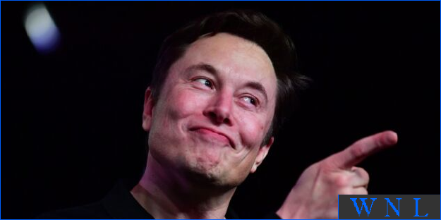 wikinews.live/articles/archi… --> Tesla made an annual profit of $12.6 billion in 2022