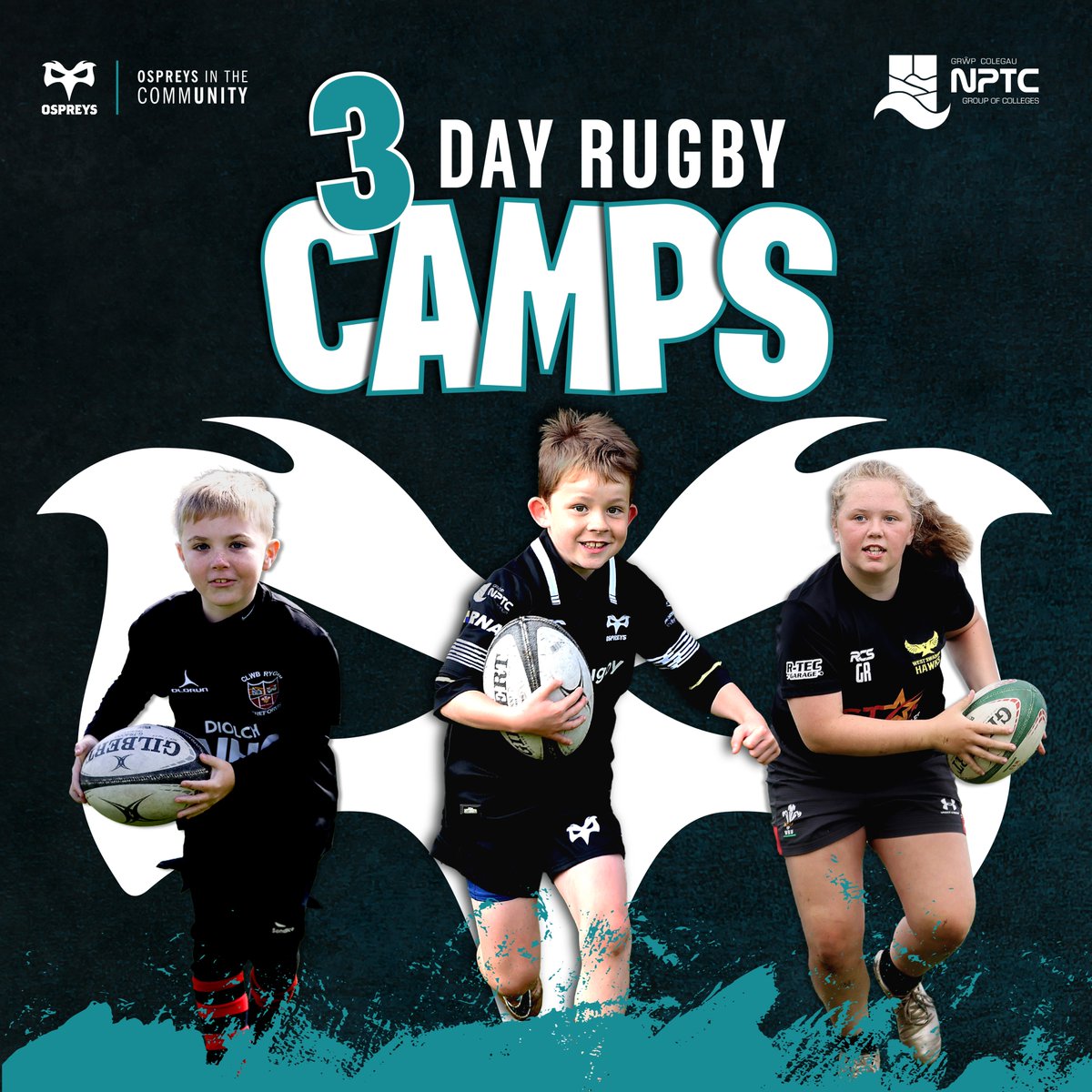 ospreys's tweet photo. 𝗝𝗼𝗶𝗻 𝗼𝘂𝗿 𝟯 𝗗𝗮𝘆 𝗥𝘂𝗴𝗯𝘆 𝗖𝗮𝗺𝗽𝘀 🏉

The @CommunityOsprey rugby camps are the perfect mix of rugby skills and fun games for young players to learn today’s modern game.

Find out here: https://t.co/LJus3oVEKY

@NPTCGroup https://t.co/f6FD6eKOTH