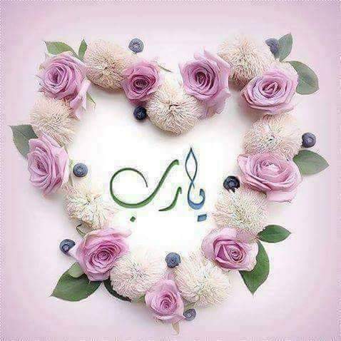 Alizain (@alizain01546393) on Twitter photo 