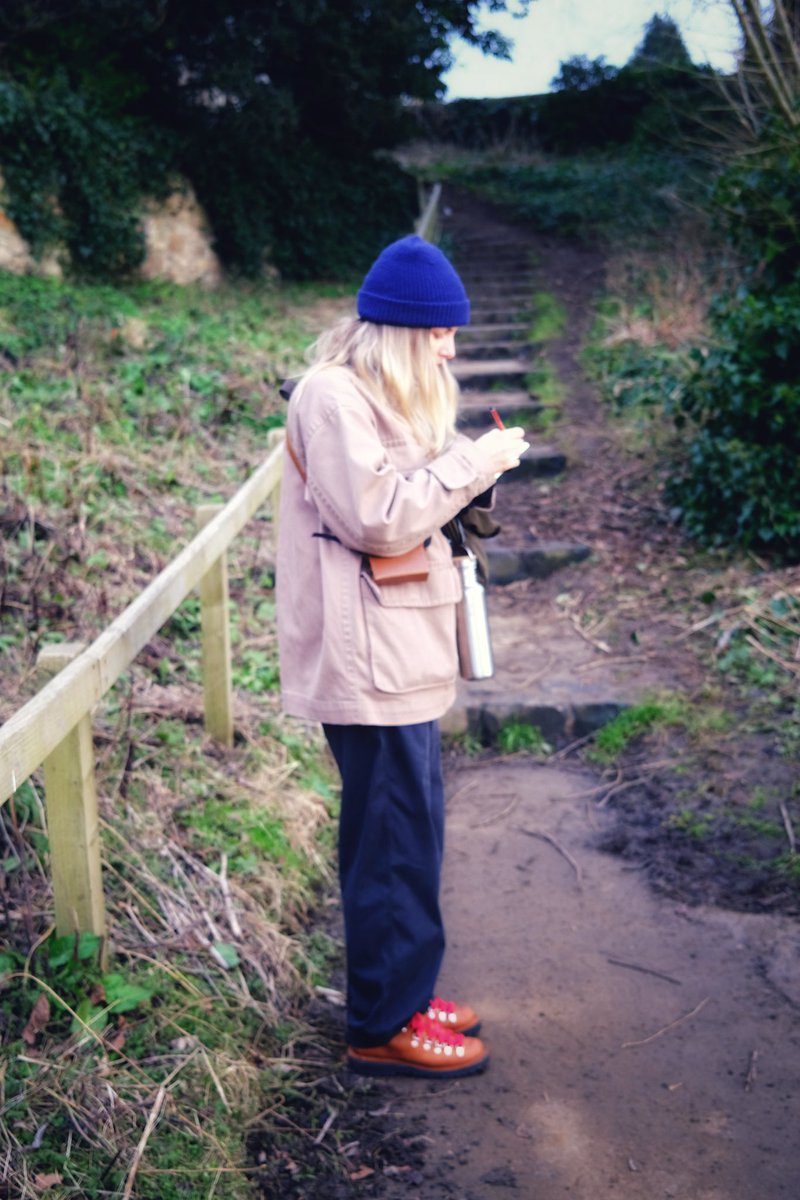 Beastly Landscapes tweet media