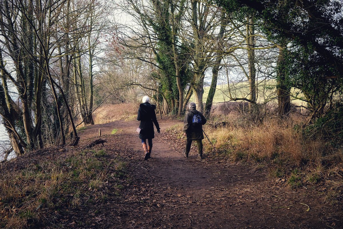 Beastly Landscapes tweet media