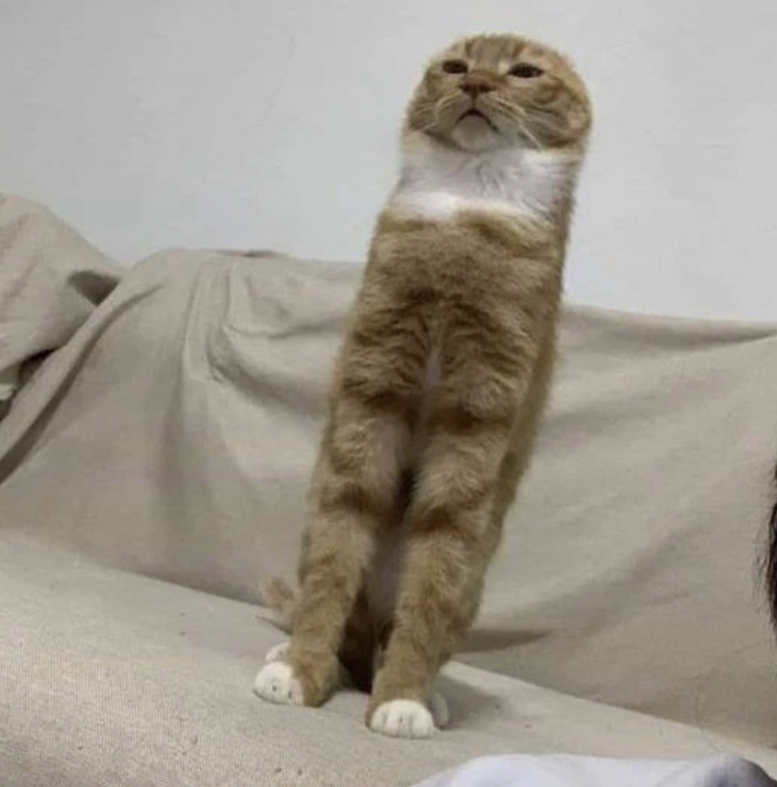 stretch
