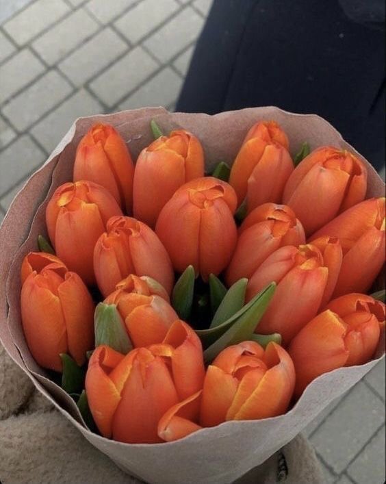 SelectOutfit's tweet image. orange tulips