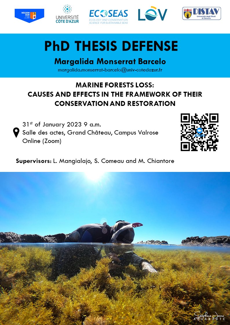 LidaMonse's tweet photo. Are recruits of #Cystoseira species🌿resistant to #climatechange🌡and #herbivory?🐟Is there a relationship between the loss of #marineforests and #BHAB?📈If you want to know more you can connect to my #PhD #thesisdefense on January 31st 9 a.m. Contact us for the Zoom link🎓 https://t.co/lsYWFI8xUo