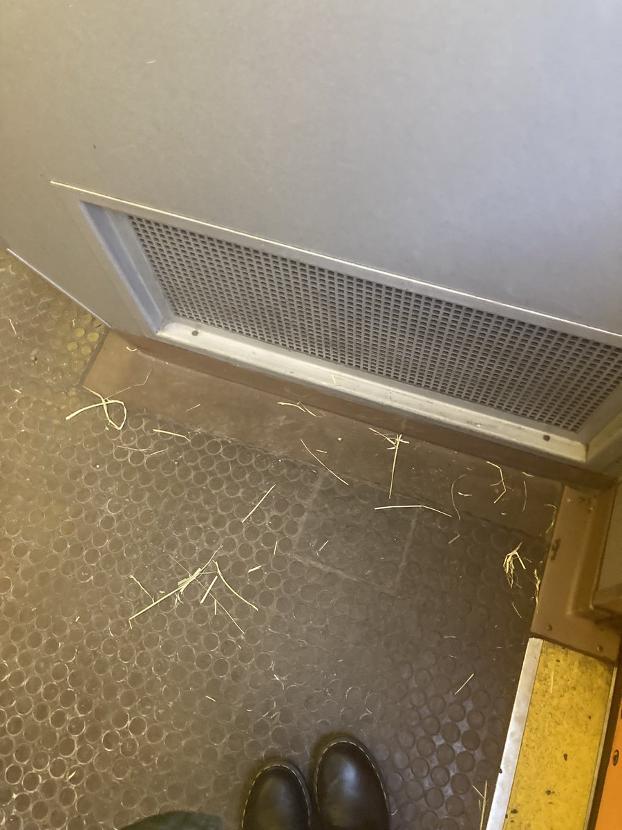 barsforlife's tweet photo. @wienerlinien warum liegt hier Stroh?😂 https://t.co/KvsLQ90bH9