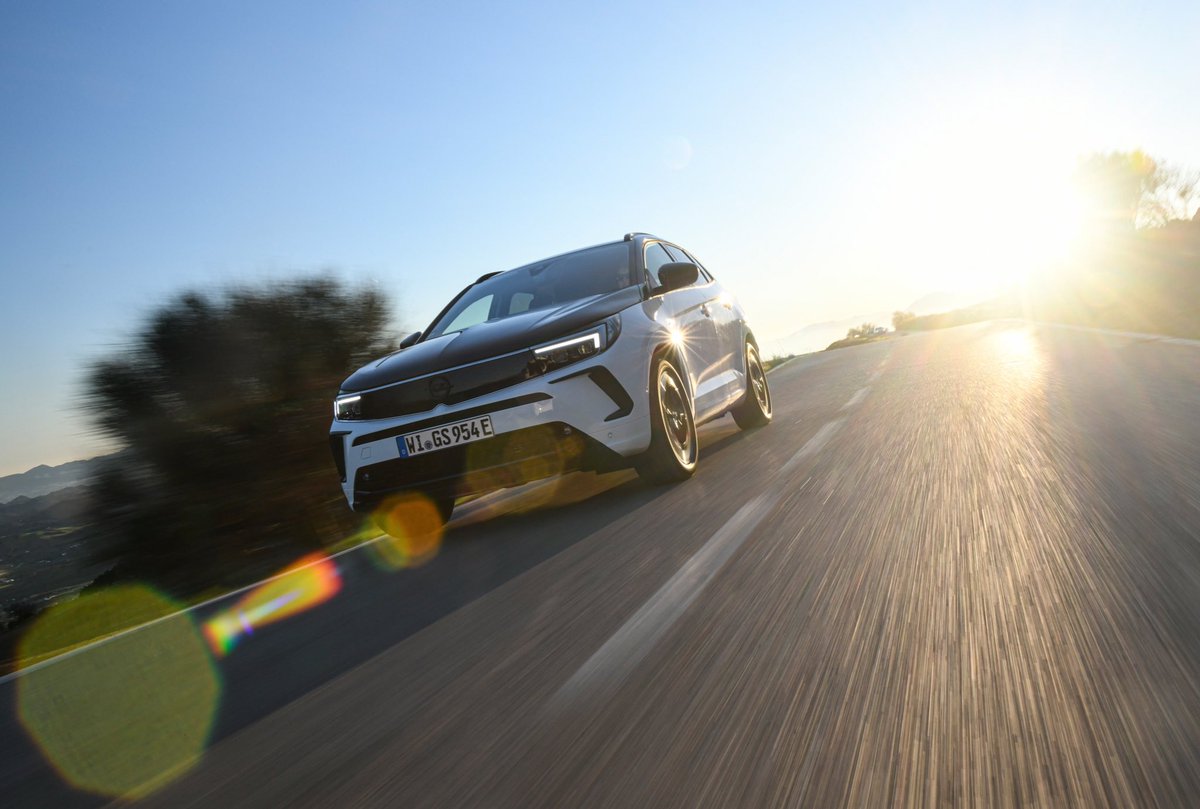 David Hamprecht tweet media