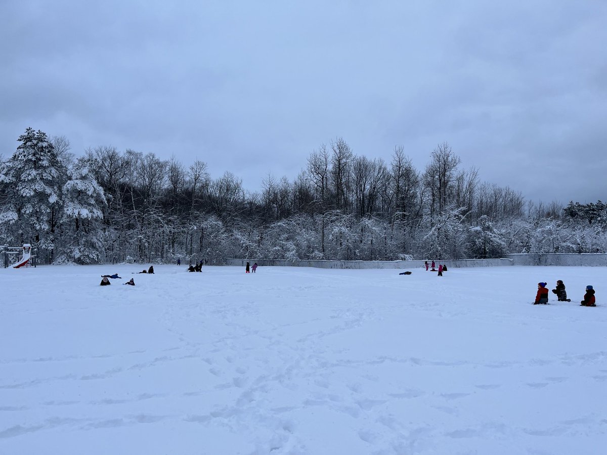 What a beautiful snowy day!