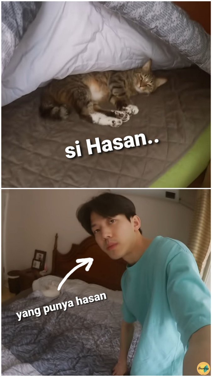DAY6 BASE on Twitter: "-haru mau nanya dong yang meme "gigit dia hasan