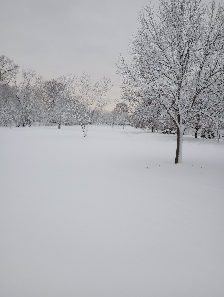 tabbyday's tweet image. First real snow ❄️
#readyforspring
