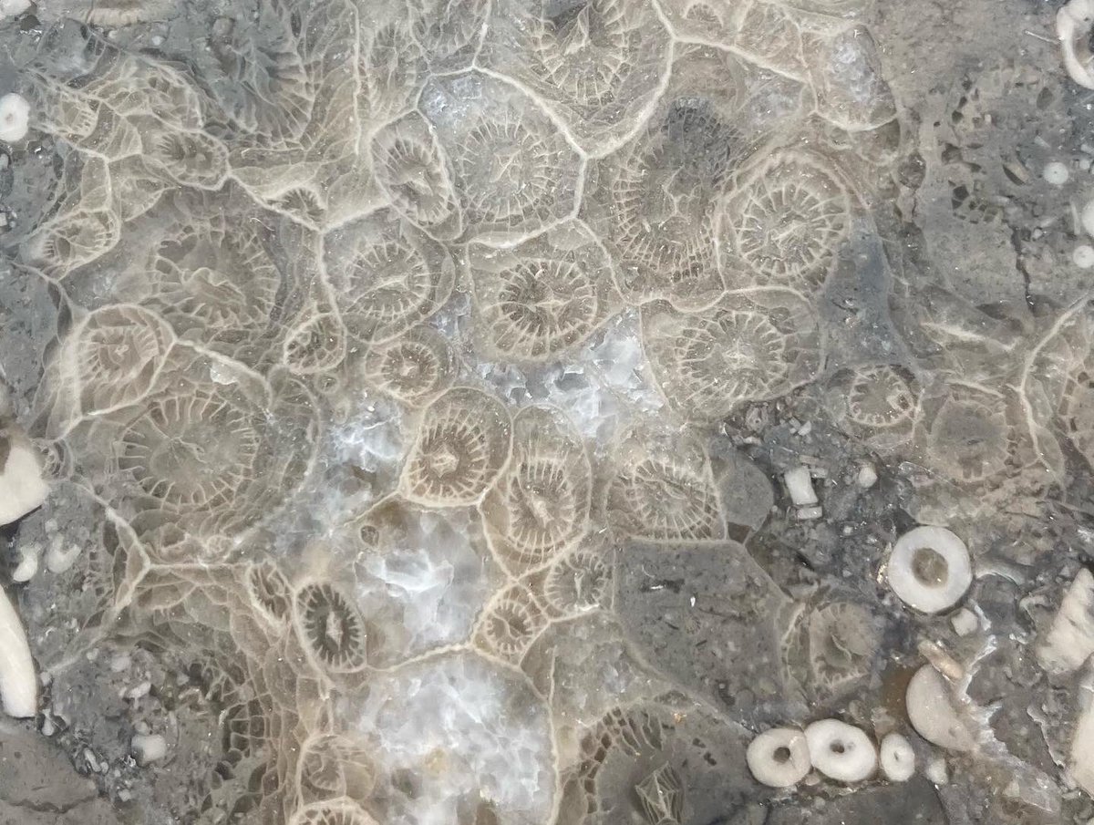 Natural Stone Sales Ltd tweet media