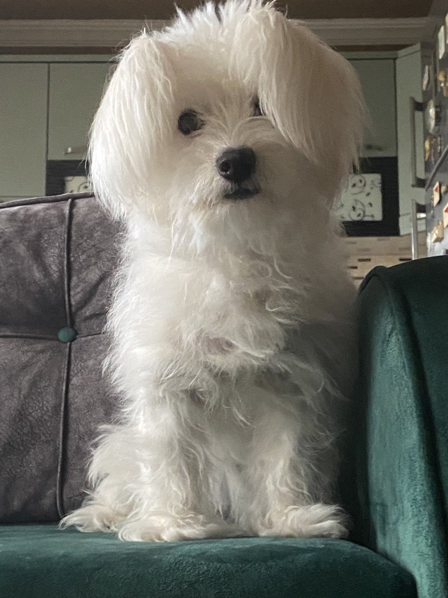 kurkma sünmes bu şufaaaak lar daaa yüseenn aal samcaaakkkk 🇹🇷