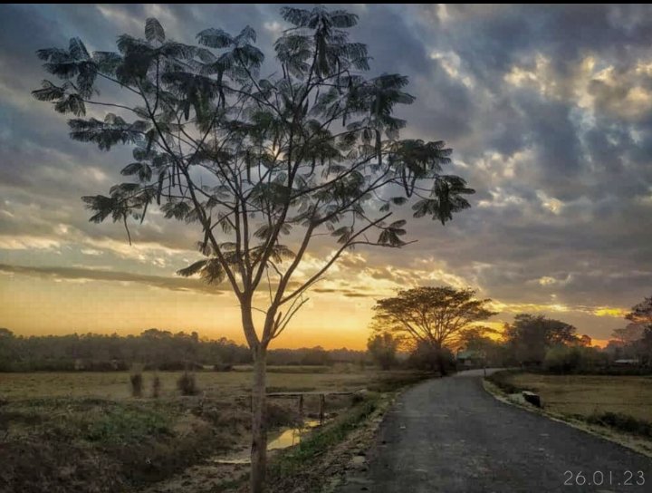 Borokha7's tweet image. সান্নিধ্যৰ সৰাপাত বুটলি 
বুলিলো আলিবাট
উইয়ে খোৱা পাতৰ মাজত
নিজক পালো অকষ্মাৎ
.
.
.
.
.
#mobilephotography #nature #copy