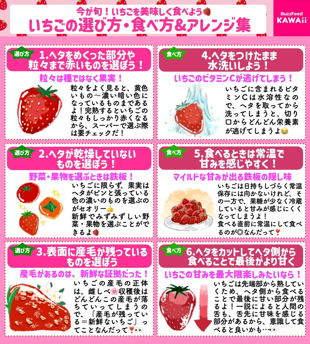 いちご好きさん必見！いちごの選び方や食べ方のまとめ！