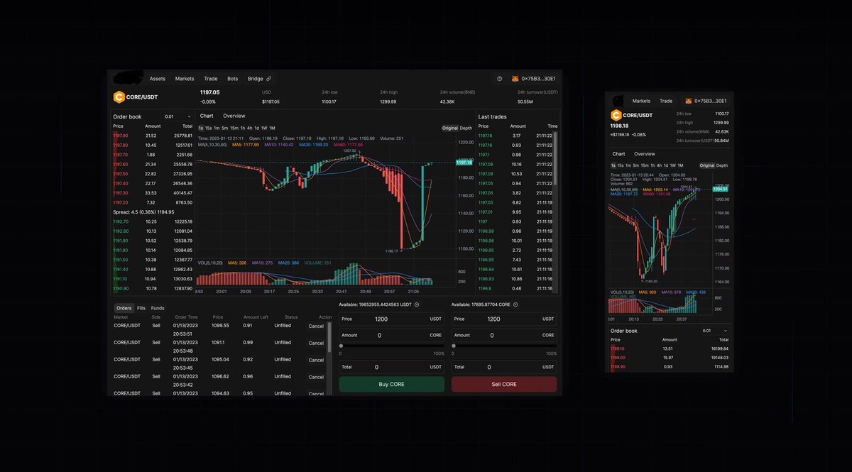 Satoshi⚡️CORE 🔶⛓️ tweet media