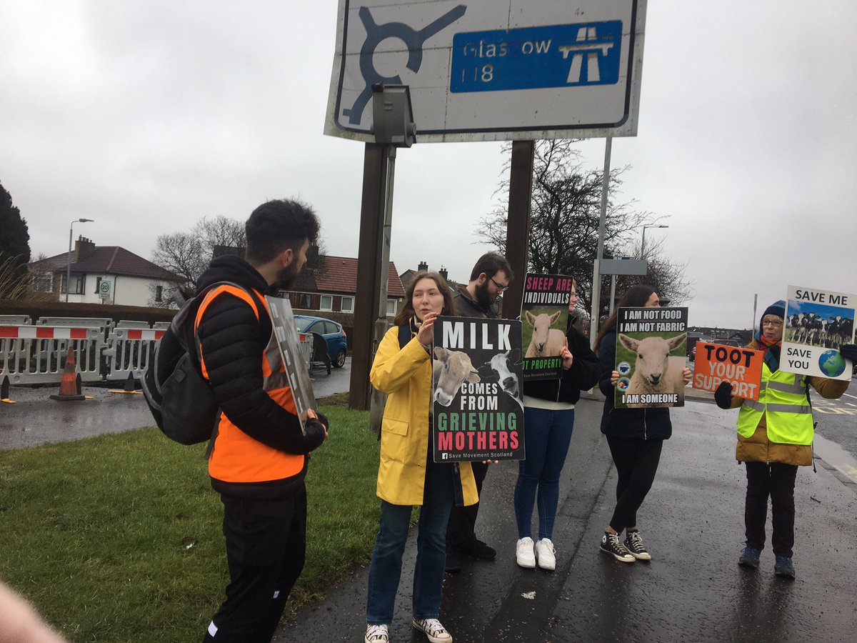 Well done activists who gave up their  time to bear witness at the Paisley Vigil #govegan #getactive #comejoinus #stopabusinganimals