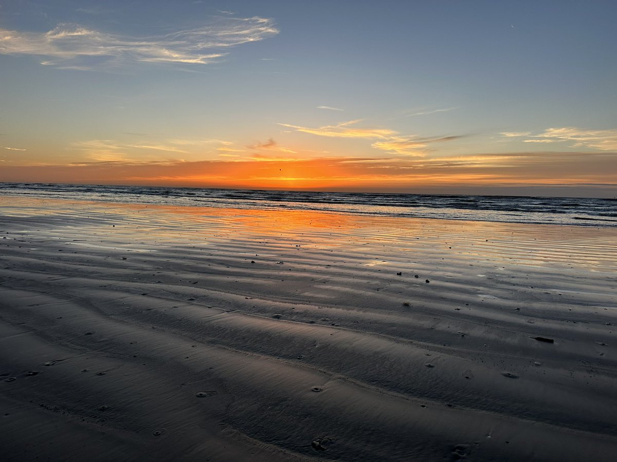 Dahna Hull tweet media