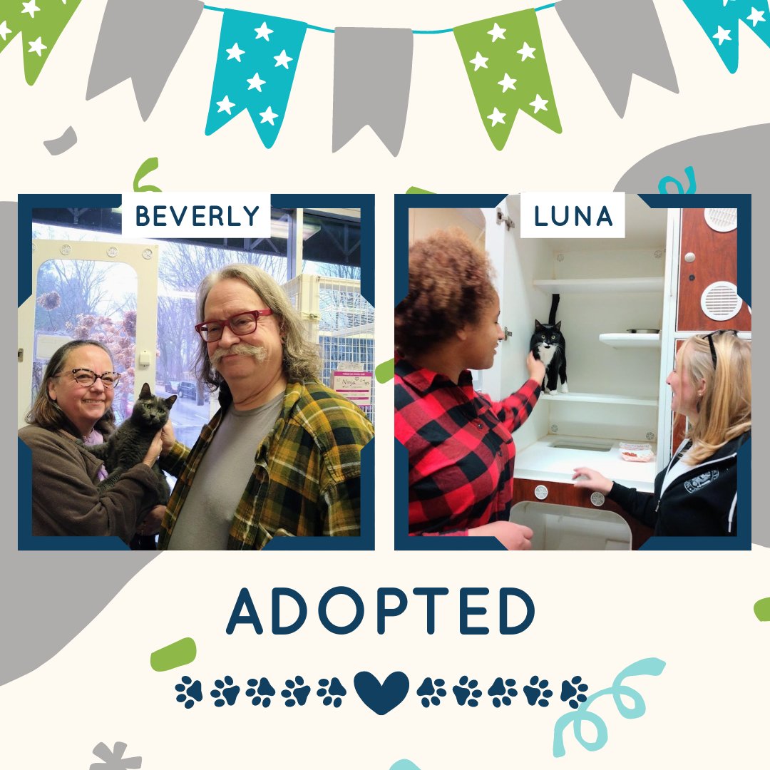 bmorehumane's tweet photo. Beverly and Luna have found great humans to call their own! Both are in new loving homes this evening. 🐾
Adopt: https://t.co/7RlTUsLYxP
#bmorehumane #baltimore #adopt #home #greathumans https://t.co/CZRgg1OguZ
