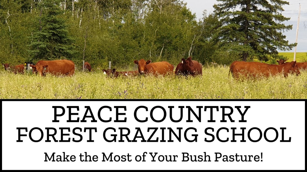 Cows and Fish | Riparian Management Society tweet media