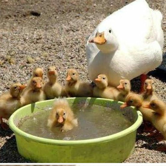 thelaceylondon's tweet photo. In six words or fewer, write a short story about this photo...

#amwriting #sixwordstory https://t.co/nh3fBECvgH