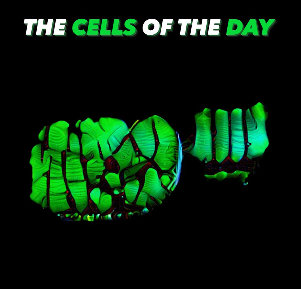 DivinityCells's tweet photo. The Cells of the day!🔥
Check on @opensea

#NFT #NFTCommmunity #digitalart #art #DivinityCells #nftcollectors https://t.co/x4dGRXf605