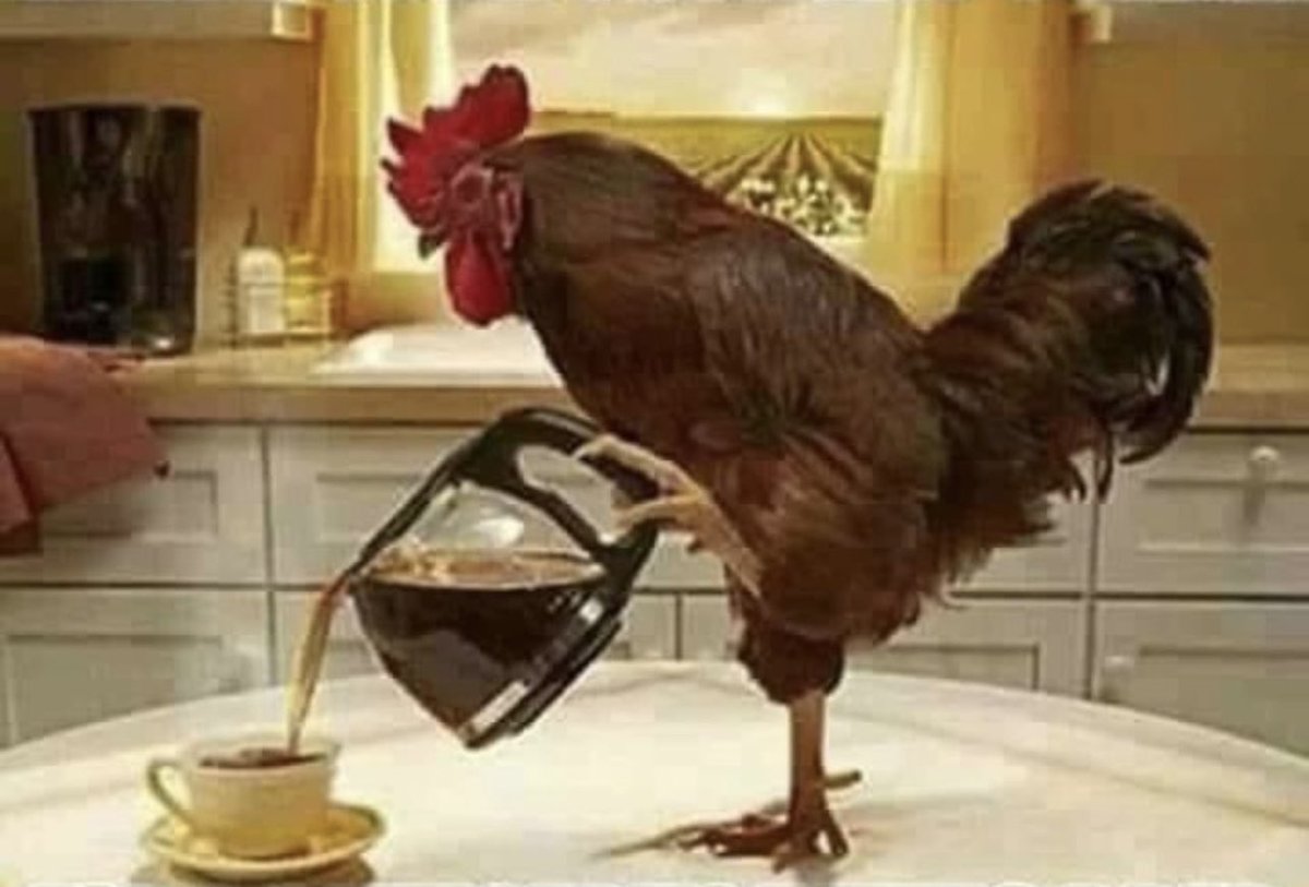 Jason Ai. Williams tweet media