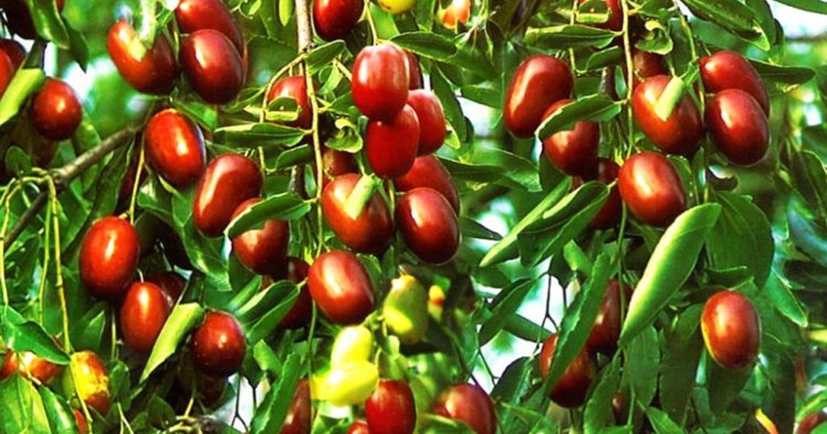 𝖃𝖎𝖓𝖝𝖎𝖑𝖚𝖘𝖍𝖊🦅 tweet media