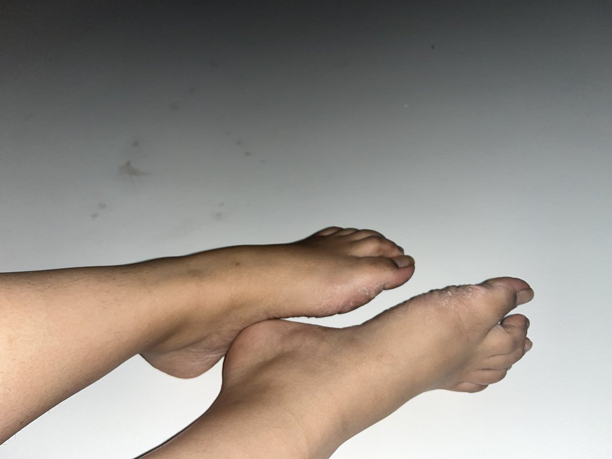 Anee Ellie tweet media