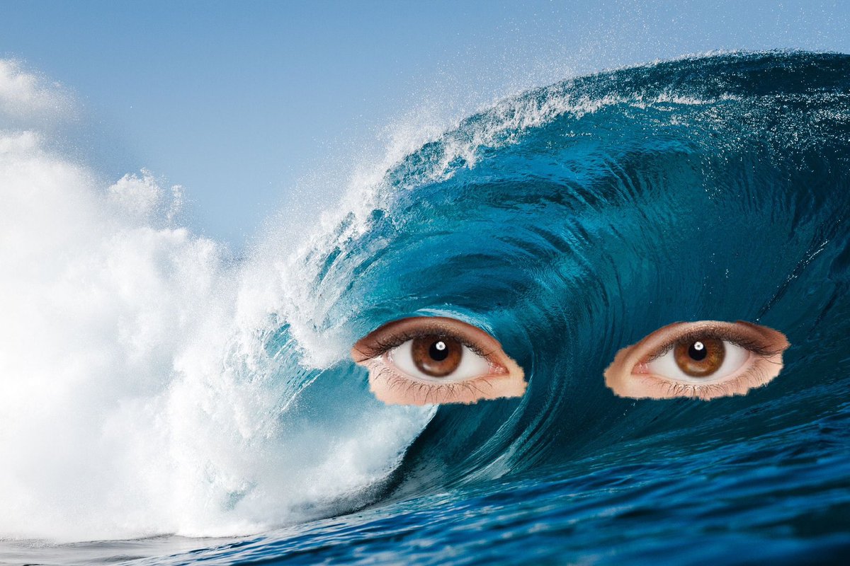 Ell C Dellorso tweet media