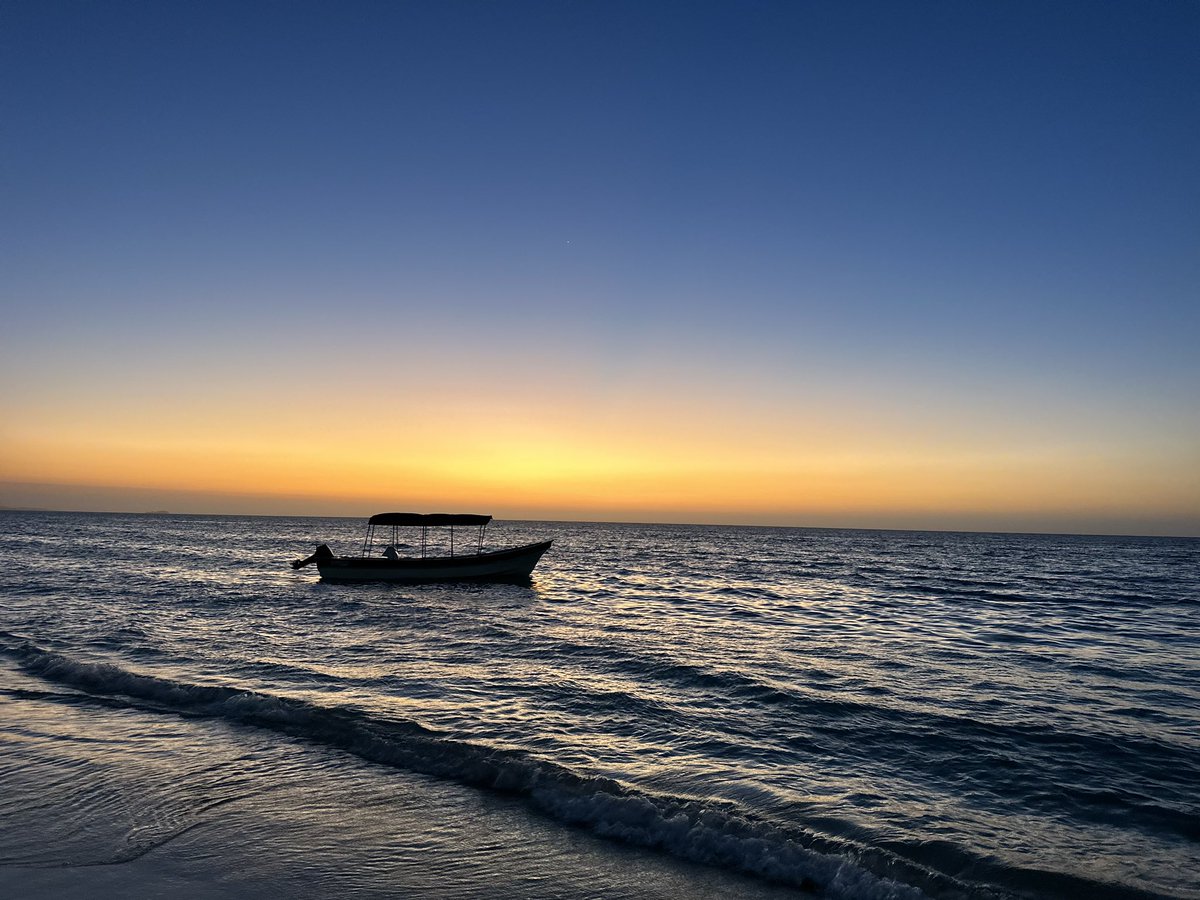 Santiago Guarin tweet media