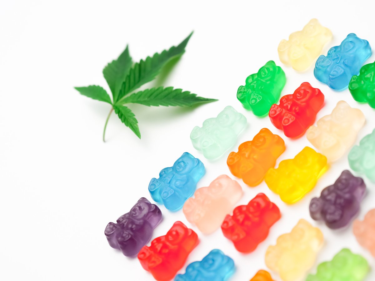 Are you a cannabis enthusiast looking to tantalize your taste buds with a variety of yummy edibles?#cannabis #cannabiscommunity #weed #marijuana #thc #CBD #cannabisculture <a href="/cbt_bot/">CBT役に立つかもしれない情報bot</a> <a href="/TheWeedSpot_/">WeedBOT</a> shorturl.at/myIQ4