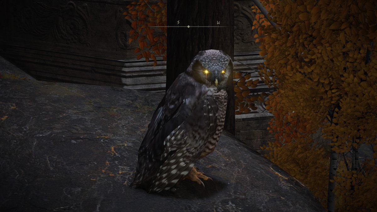 QualityChimp's tweet image. #EldenRing #PS4share