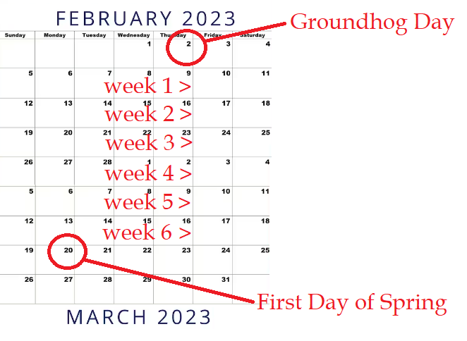 jamesaydelott's tweet photo. So, yeah, about that groundhog.....  It seems there are always six more weeks of official Winter, even if he doesn't see his shadow.  #okwx #PunxsutawneyPhil https://t.co/DVBBcLfZfQ